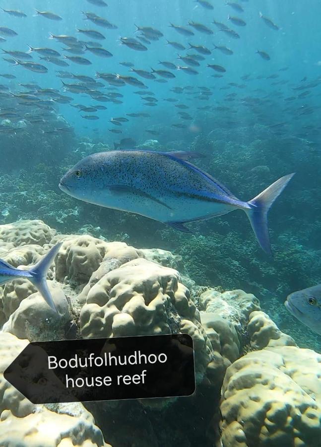 Отель Surfretreat Бодуфолуду Экстерьер фото